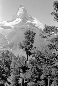 Matterhorn: Swiss Alps: The Matterhorn