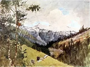 Randa: SWISS ALPS/NEAR RANDA