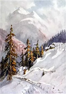 Davos: SWISS ALPS/SCHATZALP