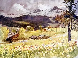 Wengernalp: SWISS ALPS/WENGERN 1917