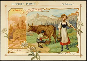Pernot: SWISS DAIRY FARM