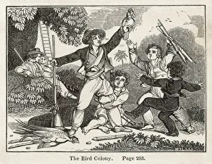 Cuddle: SWISS FAMILY ROBINSON
