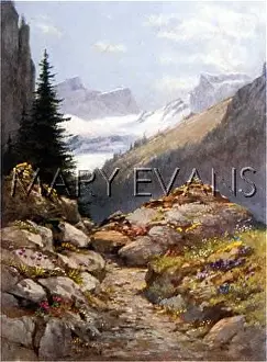 Nant: SWISS GLACIER/MARTINET