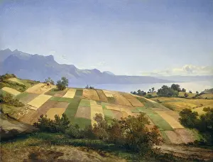 Patchwork: Swiss Landscape