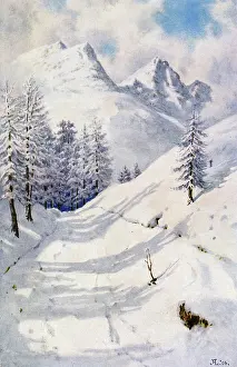 Snowscapes: A SWISS PASS IN SNOW