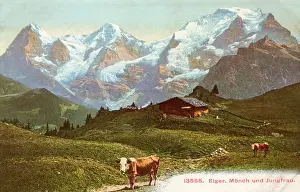 Swiss Scenery - Eiger, Monch and Jungfrau