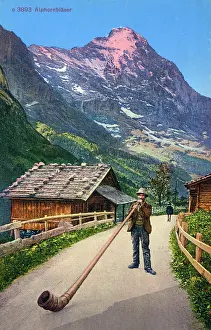 Woodwind: Switzerland - Alpenhorn