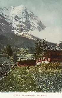 Eiger: Switzerland - The Eiger viewed from Grindelwald