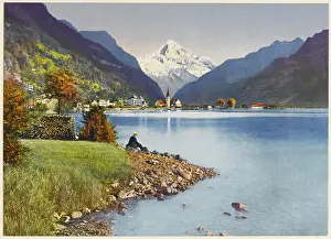 Fluellen: SWITZERLAND/FLUELLEN