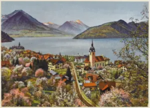 Vitznau: SWITZERLAND/VITZNAU C20