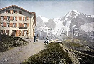Wengernalp: SWITZERLAND/WENGERNALP