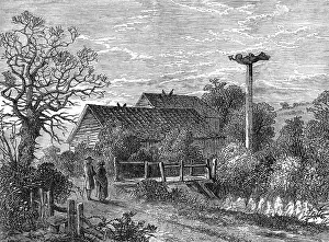 Sydenham: SYDENHAM WELLS