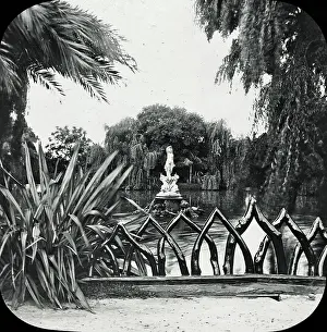 Macquarie: Sydney, Australia - Botanical Gardens