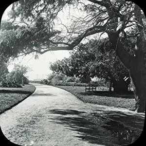 Macquarie: Sydney, Australia - Botanical Gardens