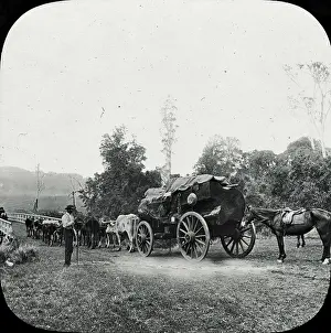 North Eastern: Sydney, Australia - A Cedar Team, Richmond River