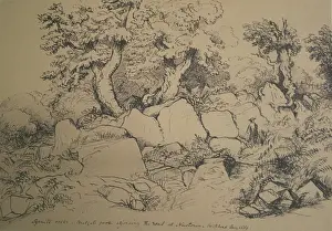 Newtown: Syenite Rocks, Bradgate Park, Swithland, Leicestershire