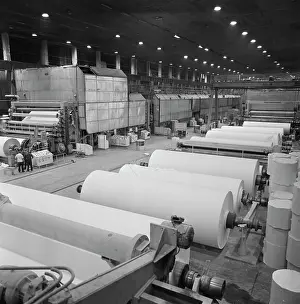 Cardboard: Syktyvkar Lumber Processing Complex
