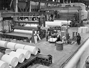 Cardboard: Syktyvkar timber industrial complex