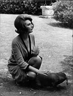 Sylva: Sylva Koscina, Italian actress