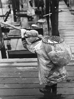 Treptow: Sylvester carp for Berlin