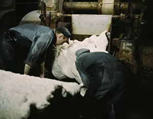 Crumbs: Synthetic rubber coming off the rolling ?