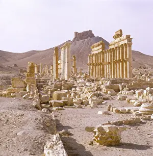 SYRIA/PALMYRA/COLONNADE