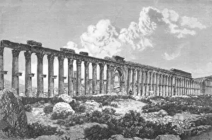 Palmyra: SYRIA/PALMYRA/COLONNADE