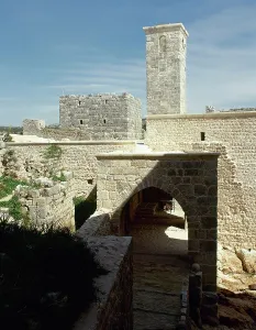 Crusaders: Syria. Saladin Castle