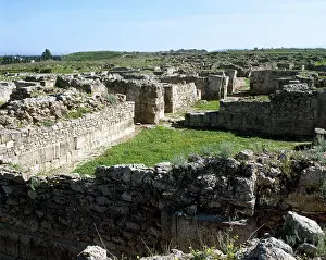 Fertile: Syria. Ugarit. Remains