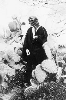 Cactus: T E Lawrence (Lawrence of Arabia) with cacti
