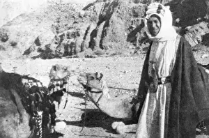 Liaison: T E Lawrence (Lawrence of Arabia) with camels
