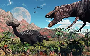 Ankylosaurus: A T Rex confronts an Ankylosaurus dinosaur