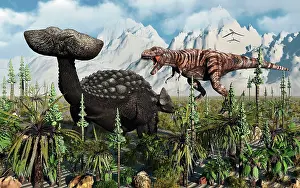 Ankylosaur: A T Rex confronts an Ankylosaurus dinosaur