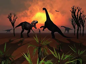Howling: T Rex confronts a group of Camarasaurus dinosaurs
