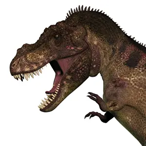 Laramidia: T-rex dinosaur head on white background