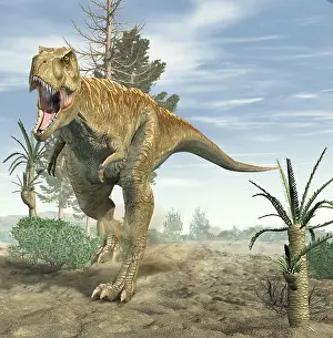 Tyrannosaurus: T-Rex dinosaur running in a prehistoric environment