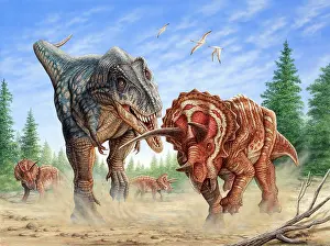 Acrylic: T-rex fighting a group of Triceratops