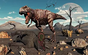 Howling: A T Rex is about to make a meal of a dead Triceratops