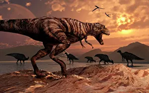 Howling: A T-Rex plans his attack on a herd of Parasaurolophus ?