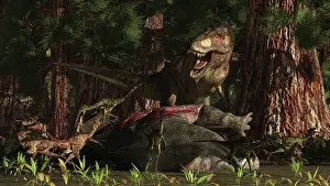 Paleoecology: A T-Rex returns to his kill and finds some poaching raptors