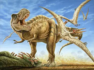 Terrible: T-rex tries to fend off scavenging pterosaurs