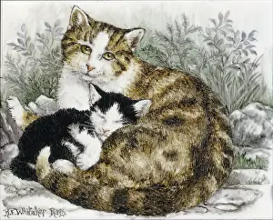 Whitaker: Tabby Cat with Kitten