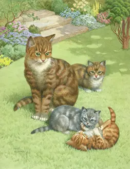 Hopking: Tabby cat and three kittens on a garden lawn
