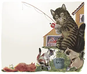 Shovels: Tabby Cat with Line