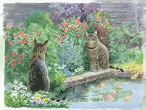 Batchelor: Two tabby cats by a pond with flowers