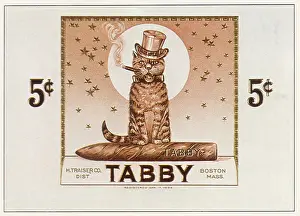 Picturpic: Tabby Cigars