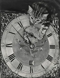Diss: Tabby kitten with grandfather clock