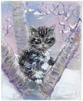Matthes: Tabby Kitten on Snowy Tree