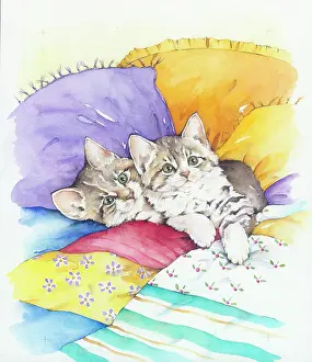 Two tabby kittens on a patchwork quilt