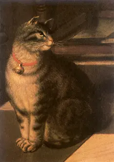 1670: Tabby with Red Belled Collar